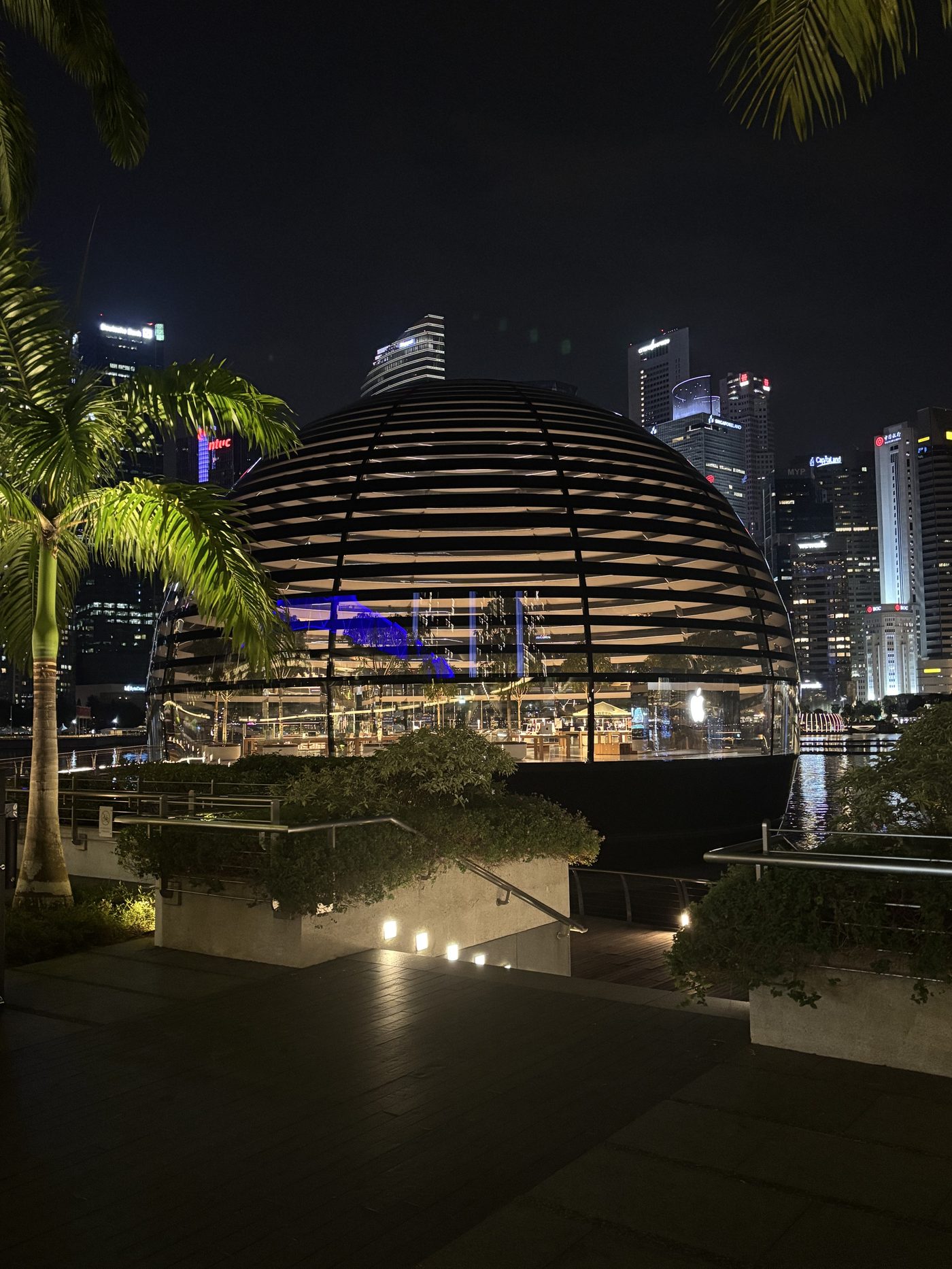 Apple Marina Bay Sands at night, Singapore